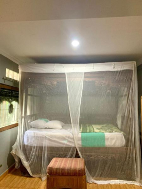Aya House